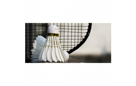 Journée porte ouverte